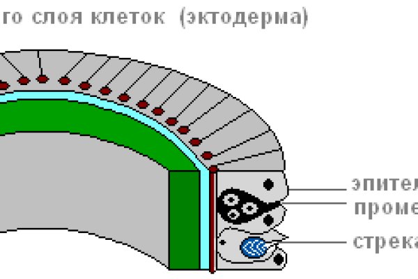 Кракен маркетплейс откуда взялся