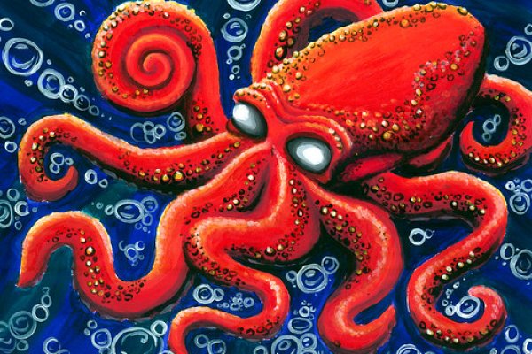 Kraken place