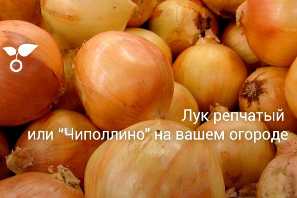 Ошибка на кракене