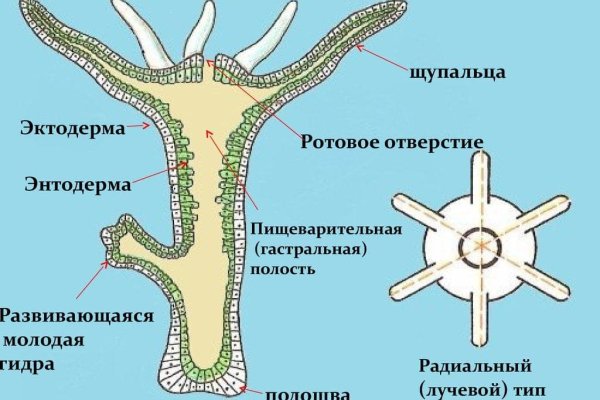 Кракен топ