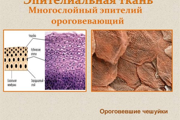 Кракен как зайти